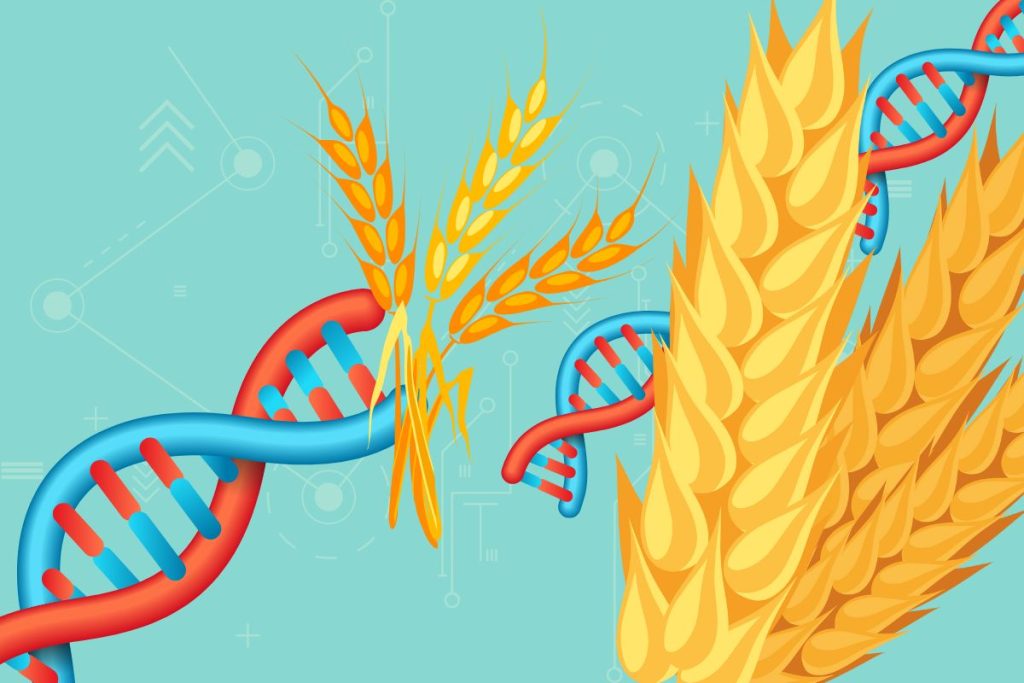 Farmtable Global Agriculture Innovations