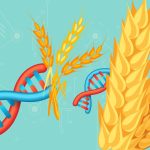 Farmtable Global Agriculture Innovations