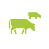 Ag Library 14 {{brizy_dc_image_alt imageSrc=