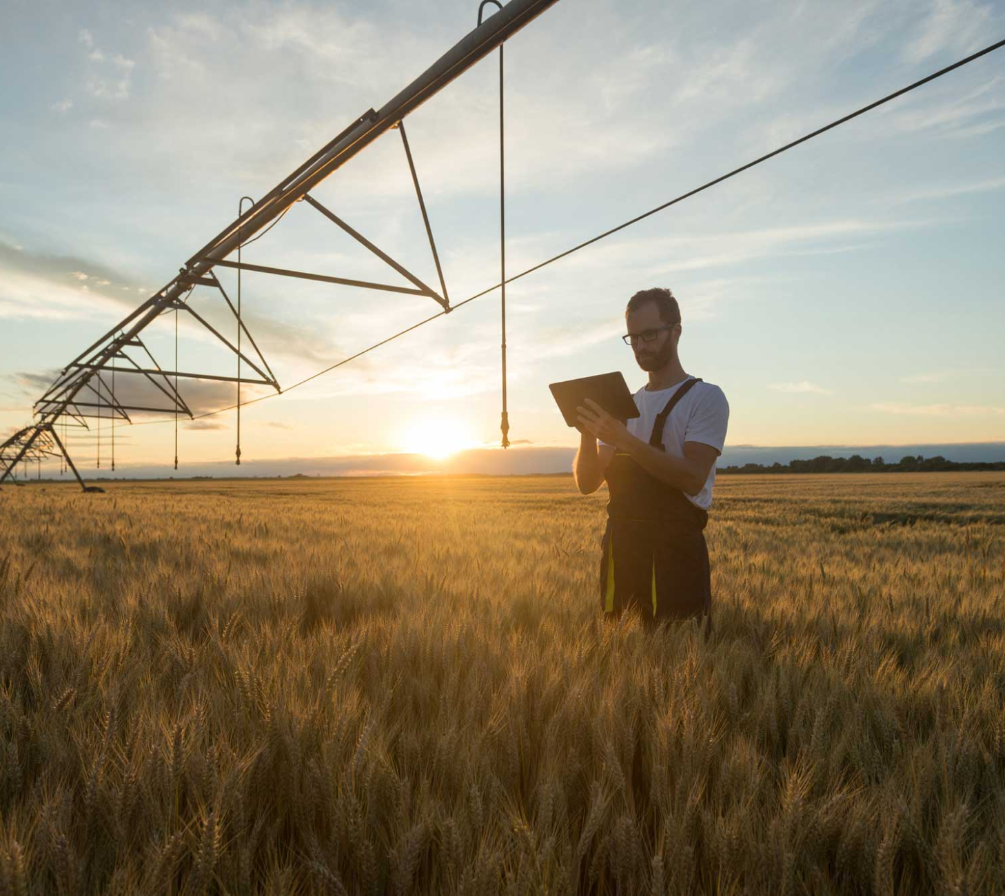 Ag Library 1 {{brizy_dc_image_alt imageSrc=