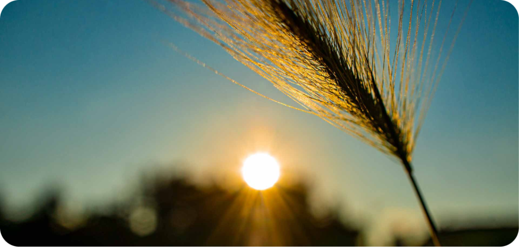 unsplash qCi MzVODoU 1