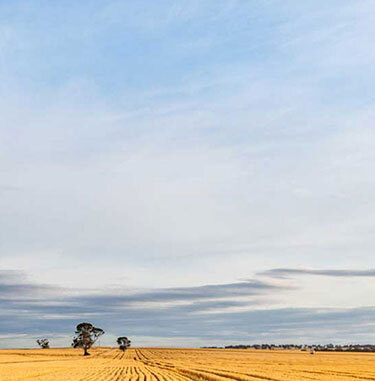 4 farm table CTA mobile