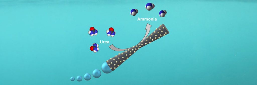 Innovative research from across the globe Nov-Dec 2023 2 2 innovative research from across the globe