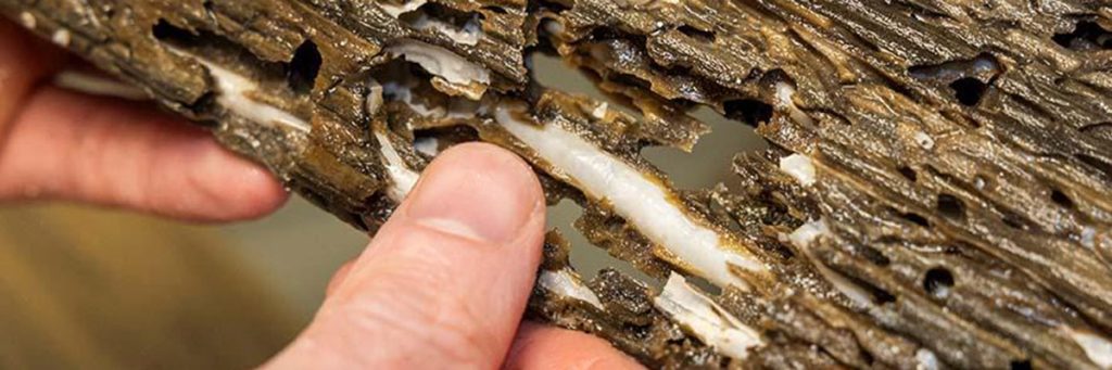 Innovative research from across the globe Nov-Dec 2023 4 4 innovative research from across the globe