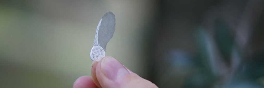 Innovative research from across the globe Nov-Dec 2023 5 5 innovative research from across the globe