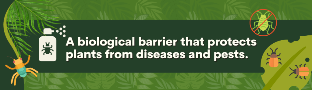 5d of the latest ground breaking Innovations