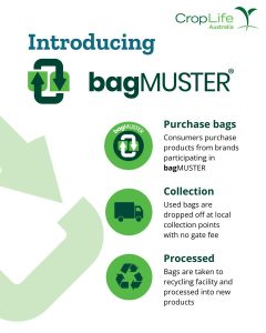 Bagmuster 4 Bagmuster