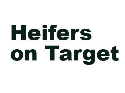 Heifers on Target 13 Heifers on Target ag tech logo