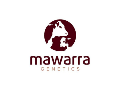 Mawarra Genetics 2 Mawarra Genetics logo