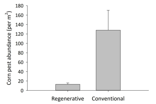 Is Being Sustainable Enough for Australian Wine? 6 Pest population