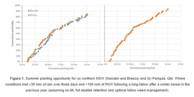 Investigating The Impact Of Rain-Fed Cotton On Grain Production In Northern Farming Systems 6 Screenshot 16