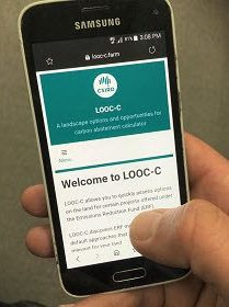 LOOC-C 7 The carbon options LOOC C app e1607648784212