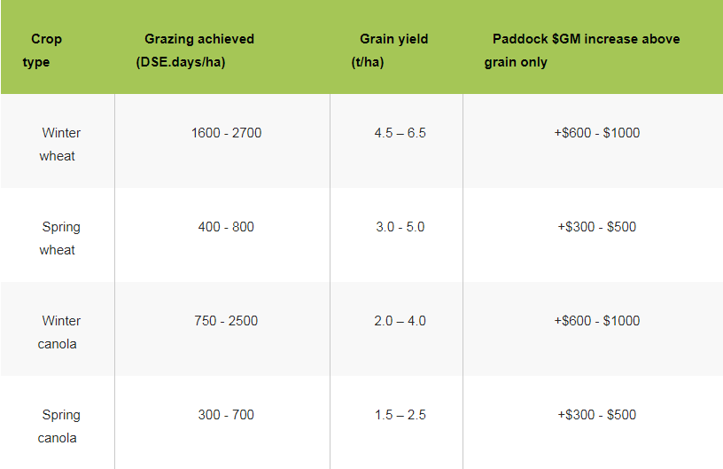 Dual-purpose Crops - Direct and Indirect Contribution to Profit 6 Typical examples of forage