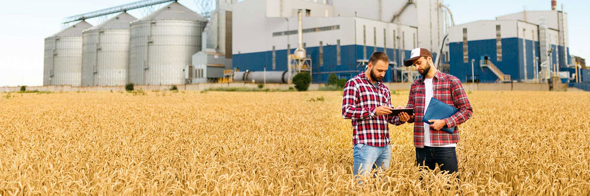 Affordable Social Media Marketing Packages for Agriculture 6 agriculture marketing farm table