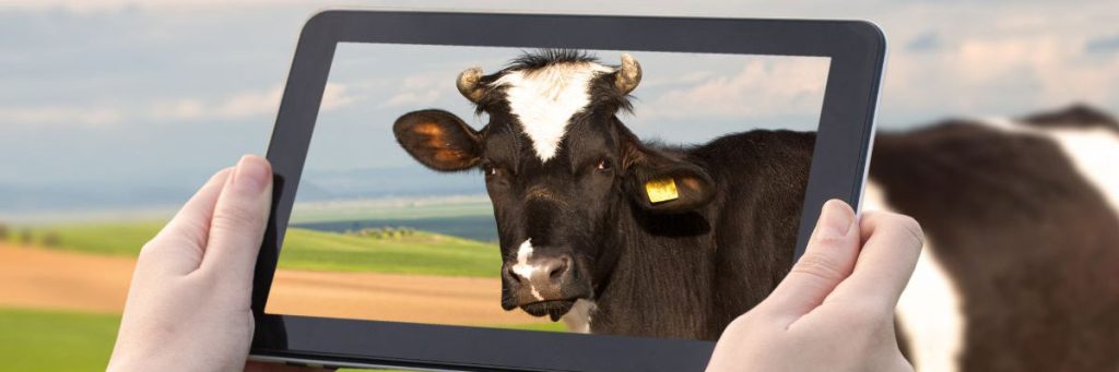 Affordable Social Media Marketing Packages for Agriculture 8 agriculture marketing social media farm table