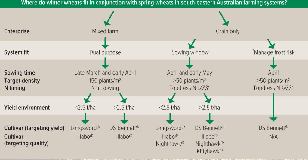 Ten tips for early sown wheat 6 decisiontree