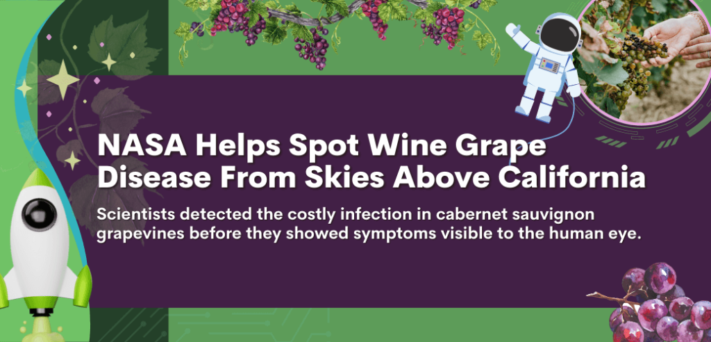 12 Major Global Innovations: August 2023 13 m 12 major global innovations