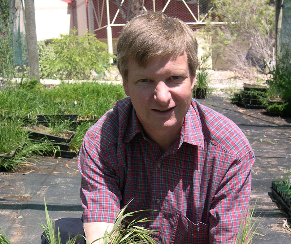 Why Look For Summer Weeds in Spring? 6 why look for weeds