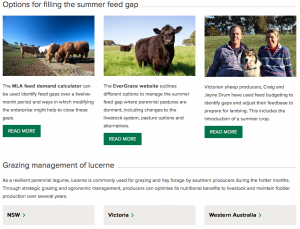 Summer Hub for southern producers 6 Screen Shot 2020 11 27 at 11.48.56 AM 300x229 1