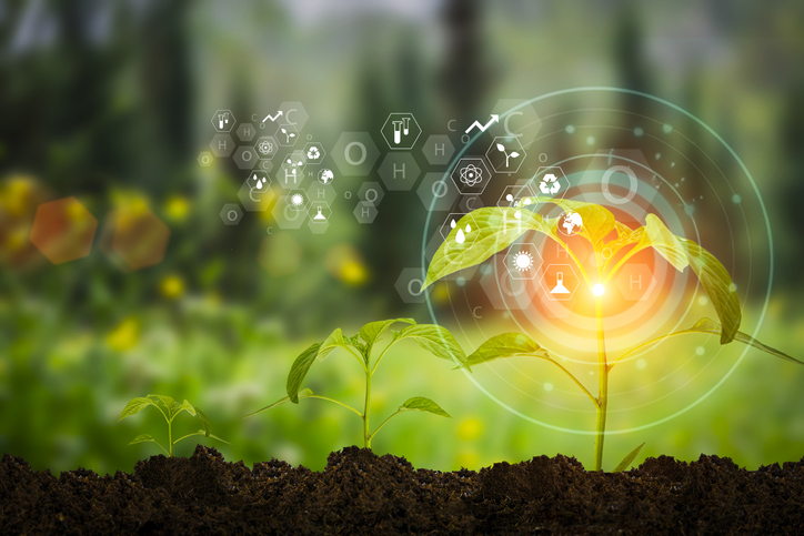 sustainability agriculture farm table