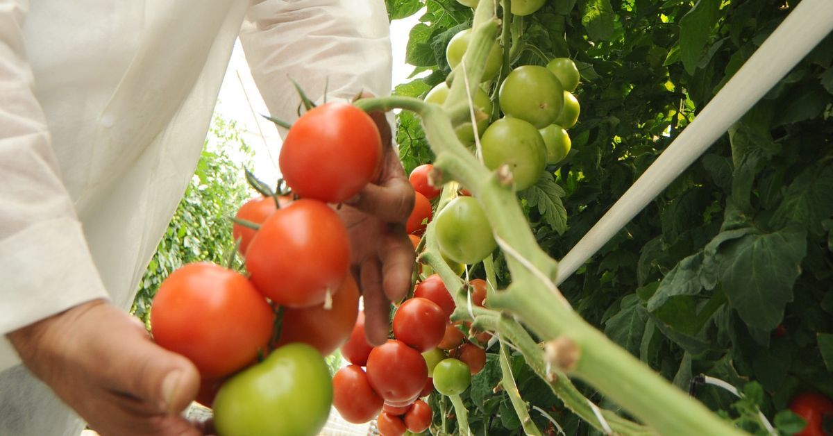 A shot a day keeps the waste at bay…