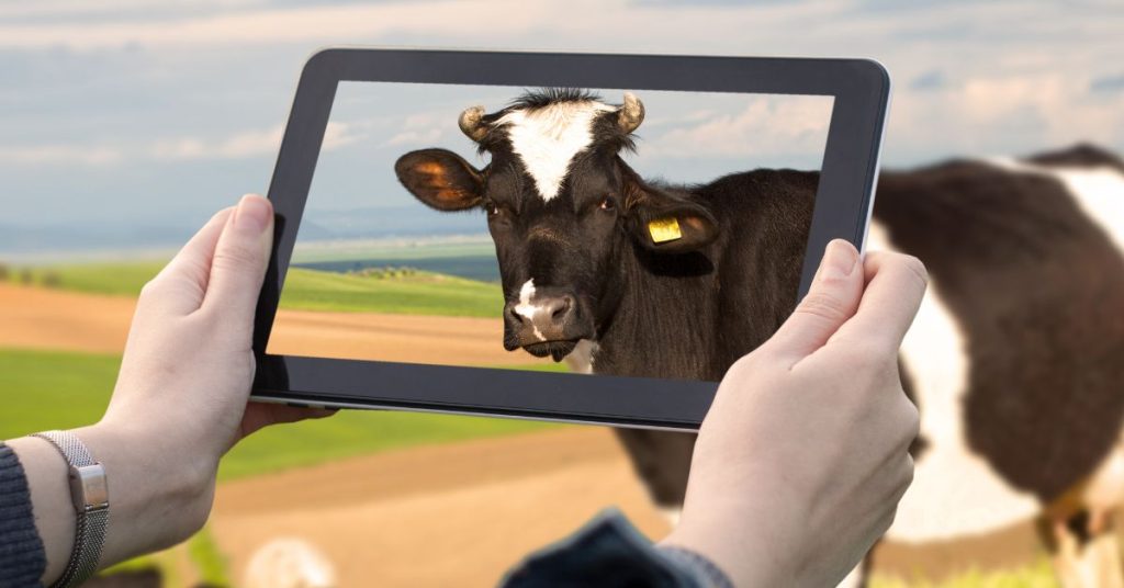 marketing for agricultural companies