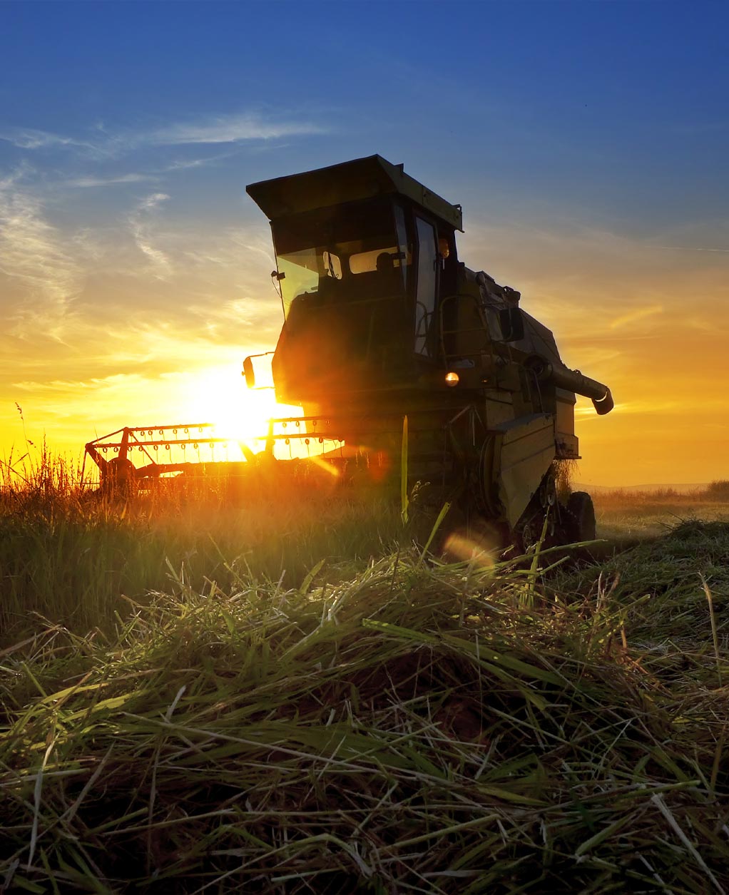 Meet the Team 3 {{brizy_dc_image_alt imageSrc=