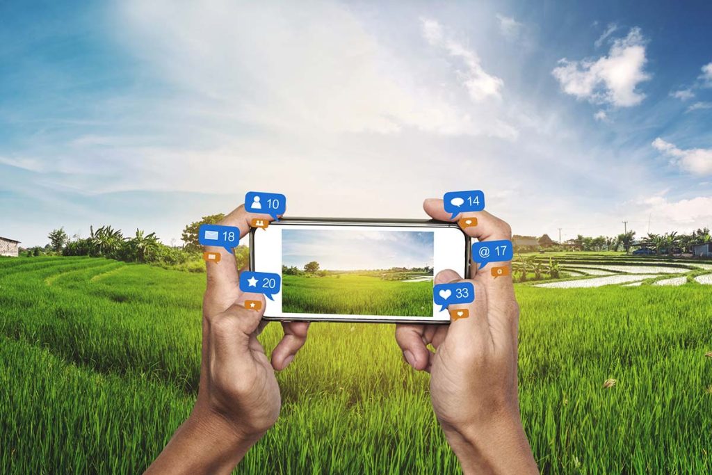 social media farm table