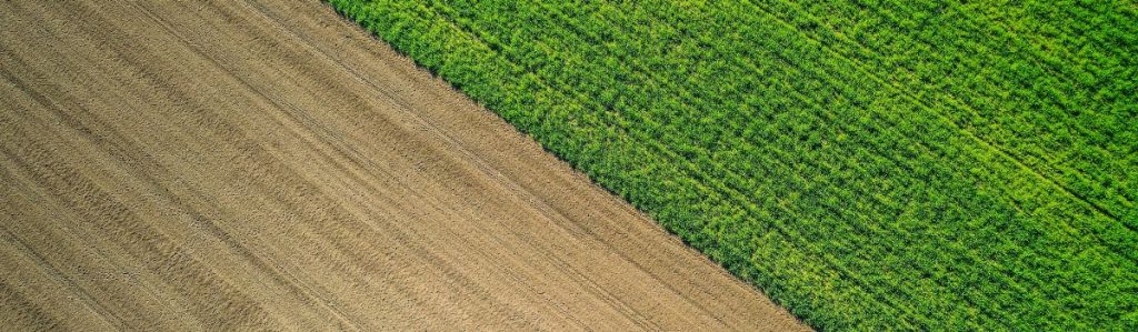 Sustainable agriculture practices in Australia 1 crop rotation Ag News Farm Table