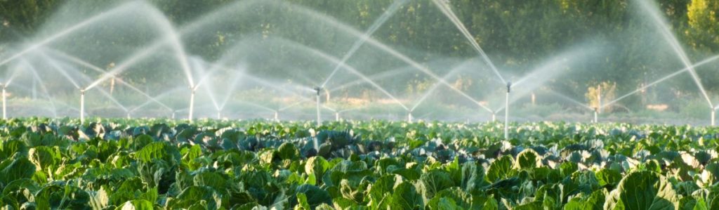 Sustainable agriculture practices in Australia 2 irrigation Ag News Farm Table