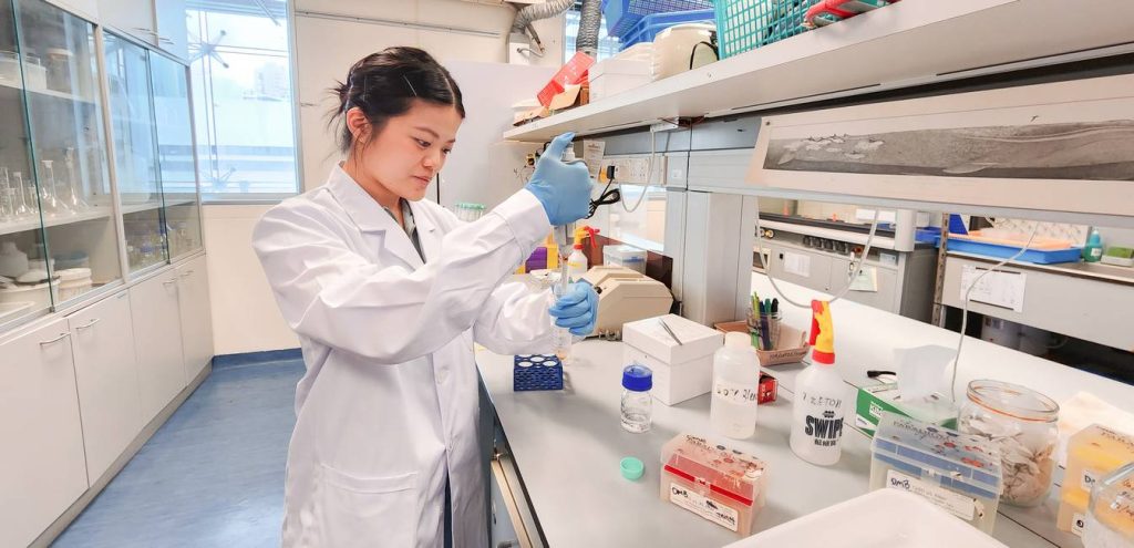 isofoodTrace food traceability