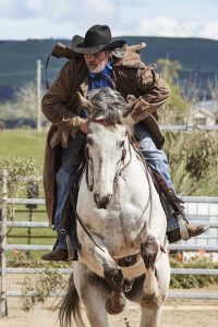 Mountain Cattlemens Association of Victoria's Annual Get Together 5 jPr3IXChris Egab