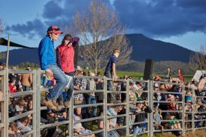 Mountain Cattlemens Association of Victoria's Annual Get Together 6 mountain cattlemans