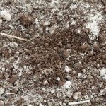 liming-for-carbon-capture