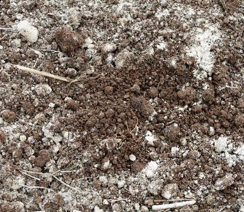 Liming Can Help Enhance Carbon Capture