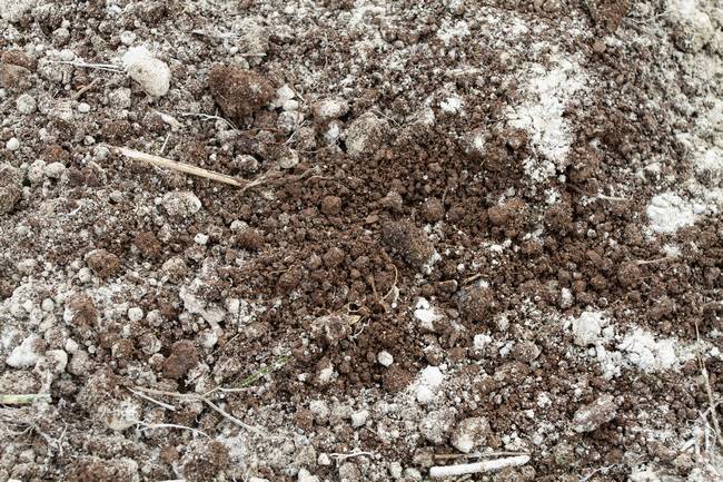 liming-for-carbon-capture