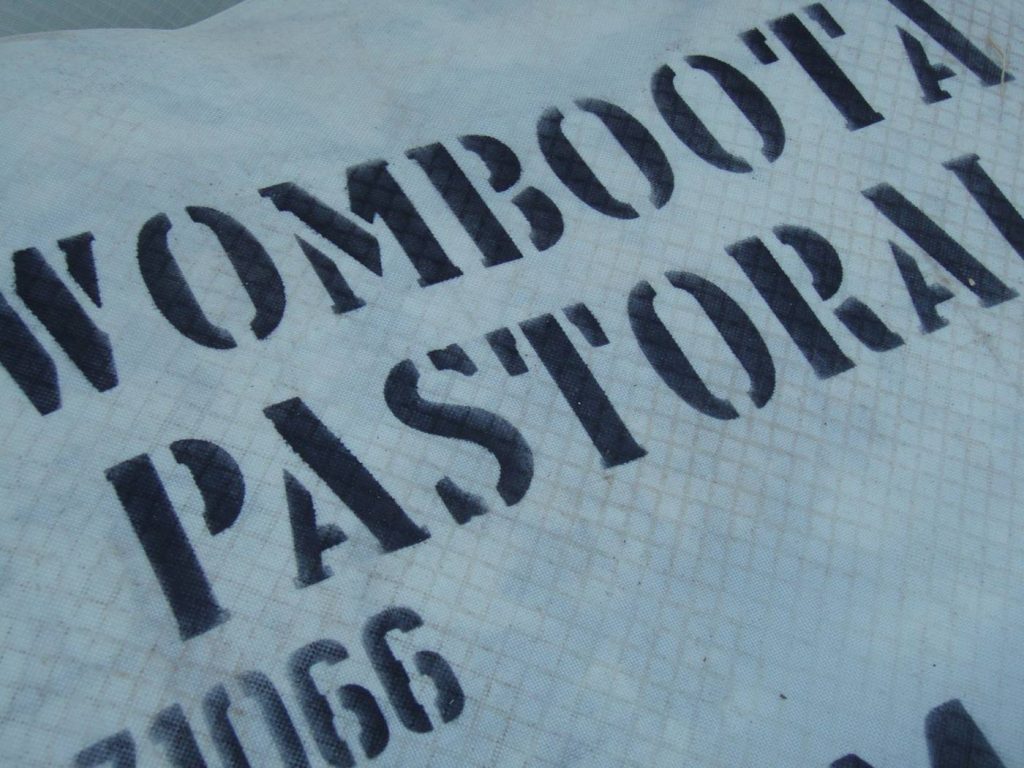 womboota border leicester stud