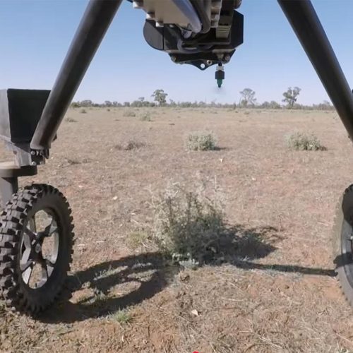 AI-Powered Farming Robots: Revolutionising Australian Agriculture